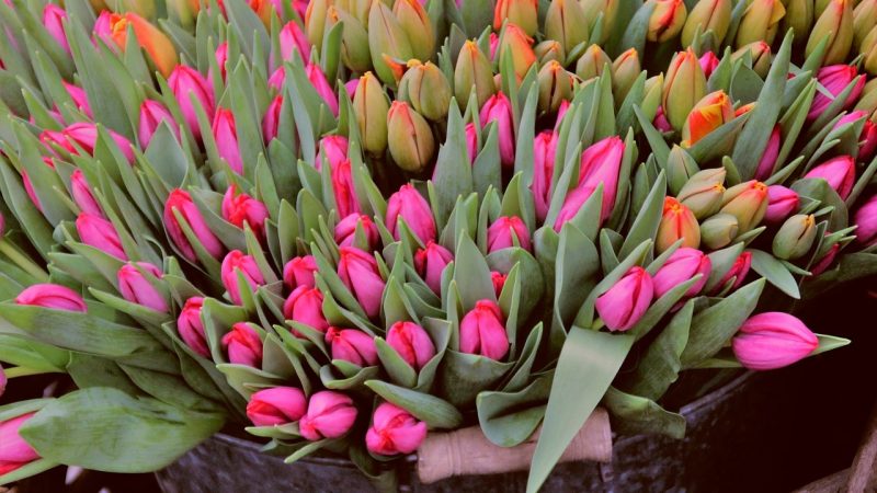 Kwiaciarnia, czy to dobry biznes? Zdradzamy ile zarabia właściciel kwiaciarni?