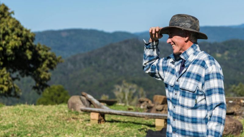 Praca w Niemczech na farmie – bez języka za dobre pieniądze?