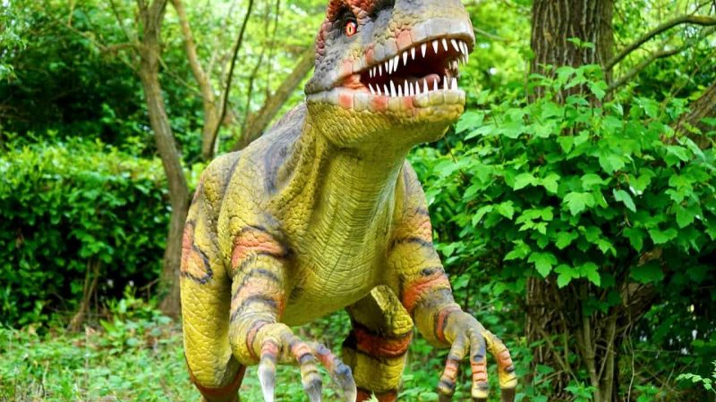 RAWR w języku dinozaurów – co oznacza RAWR?