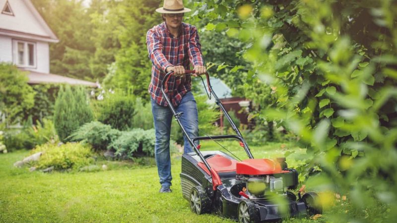 Kosiarki spalinowe czy elektryczne? Poznaj plusy i minusy obu typów!
