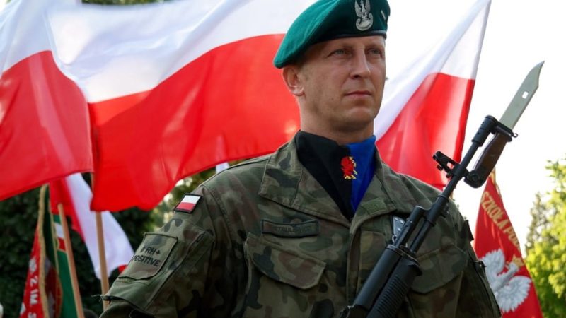 Jak dostać się polskiego wojska zawodowego?