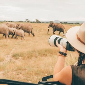 Afrykańska odyseja – Eksploracja Kenii poprzez safari – wskazówki praktyczne